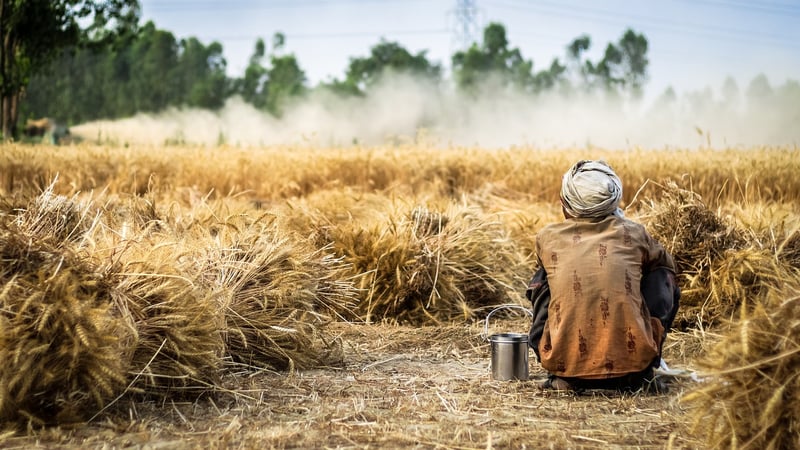 Farmers in Agricultural Field